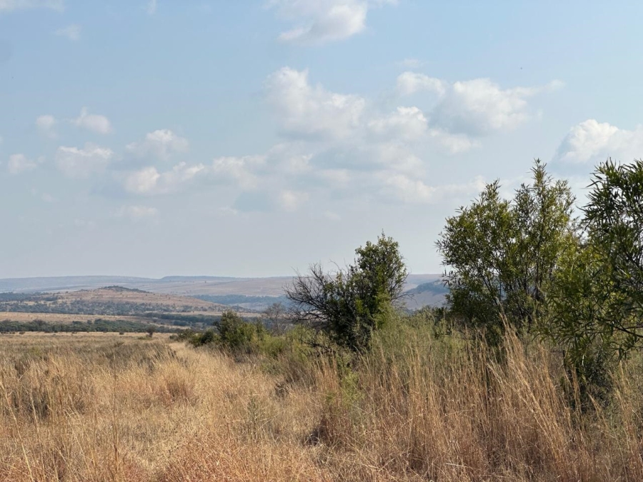 0 Bedroom Property for Sale in Lichtenburg Rural North West